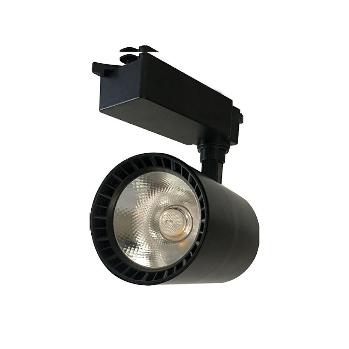 Ray Spot Armatür Siyah Kasa 4000K 30W Ledli