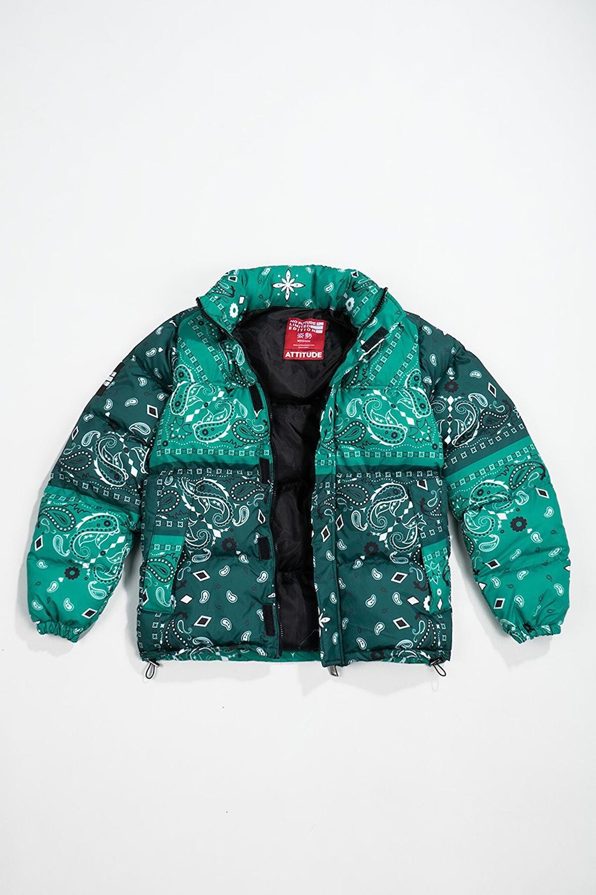 Urban Paisley Erkek Puffer Mont Ceket NF0503YS