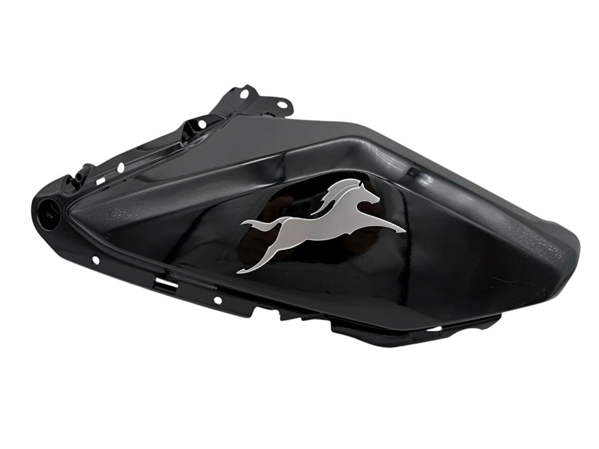 TVS Raider 125 Sağ Depo Grenajı