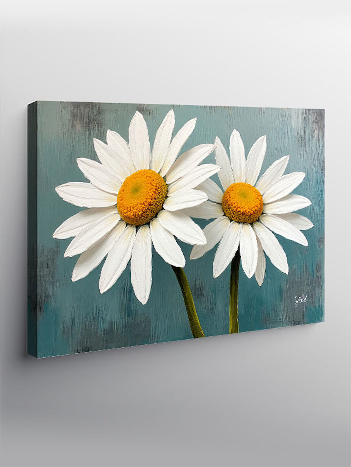 Kanvas Tablo Beyaz Papatyalar İllüstrasyonu 50cmx70cm