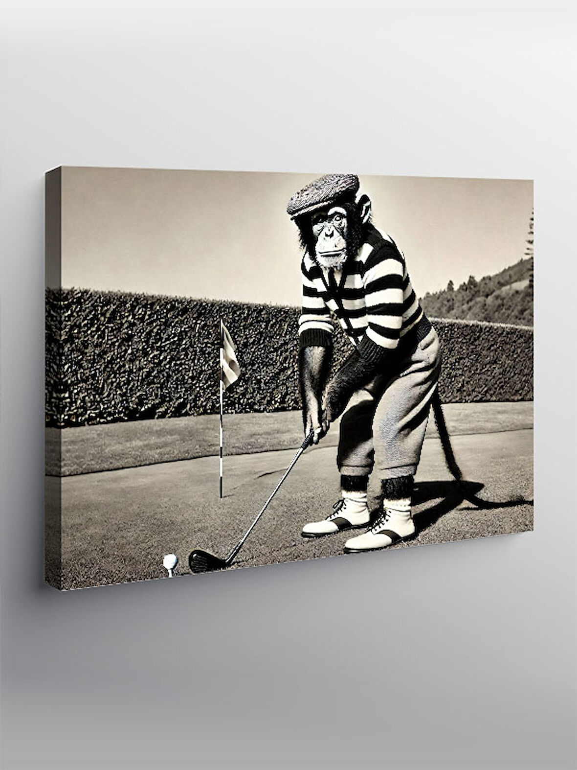 Kanvas Tablo Golfçü Maymun Komik Bir An