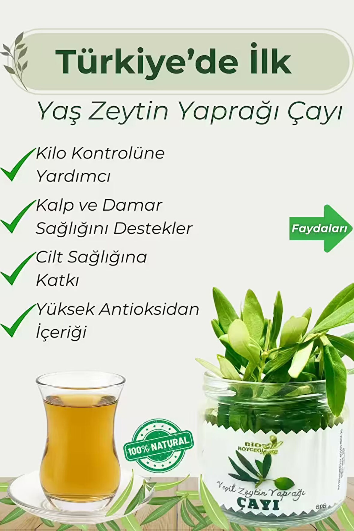  Yaş Zeytin Yaprağı Çayı | Köyceğiz'den %100 Doğal Detox Bitki Çayı • Güçlü Antioksidan