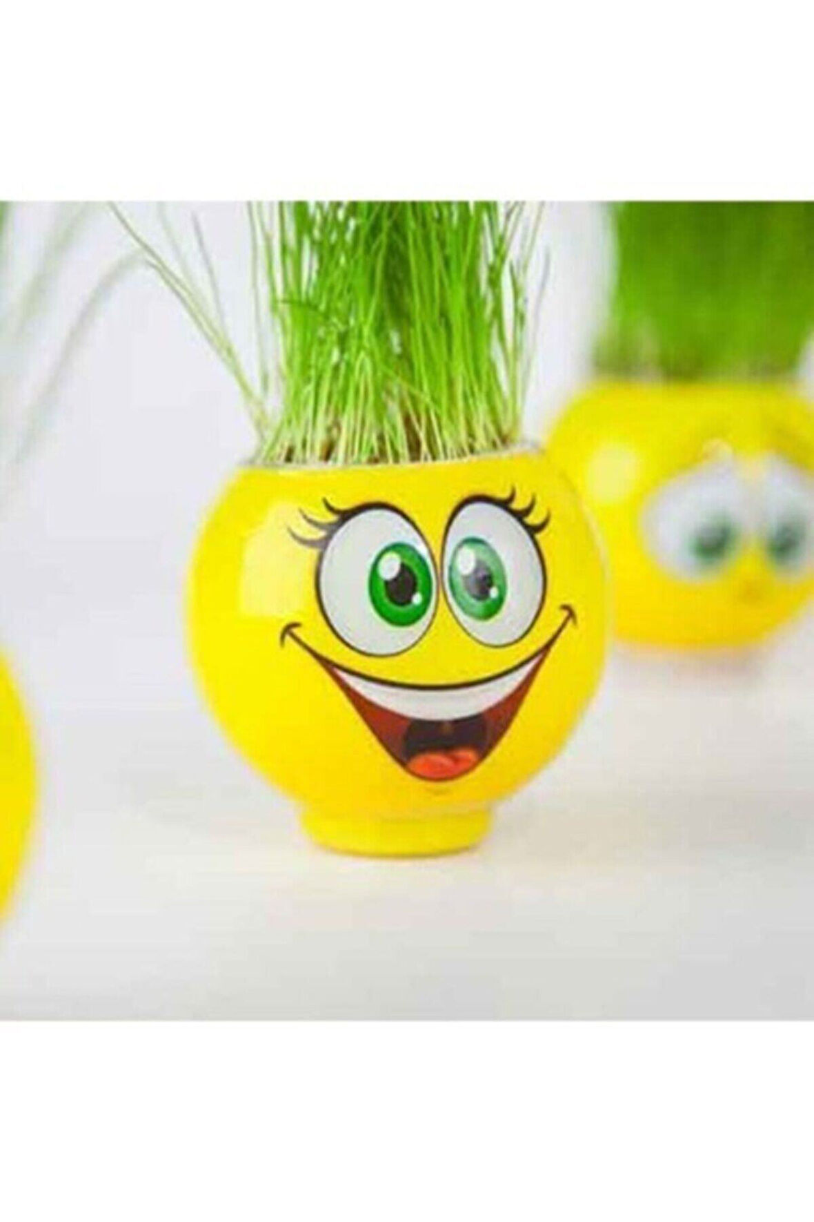 Çimoji Emojili Yeni Nesil Çim Adamlar 2Adet Çocuk Eğitici Oyuncaklar