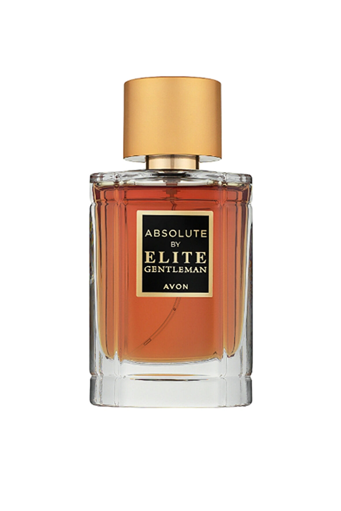 Absolute By Elite Gentleman Erkek Parfüm EDT 50 ml