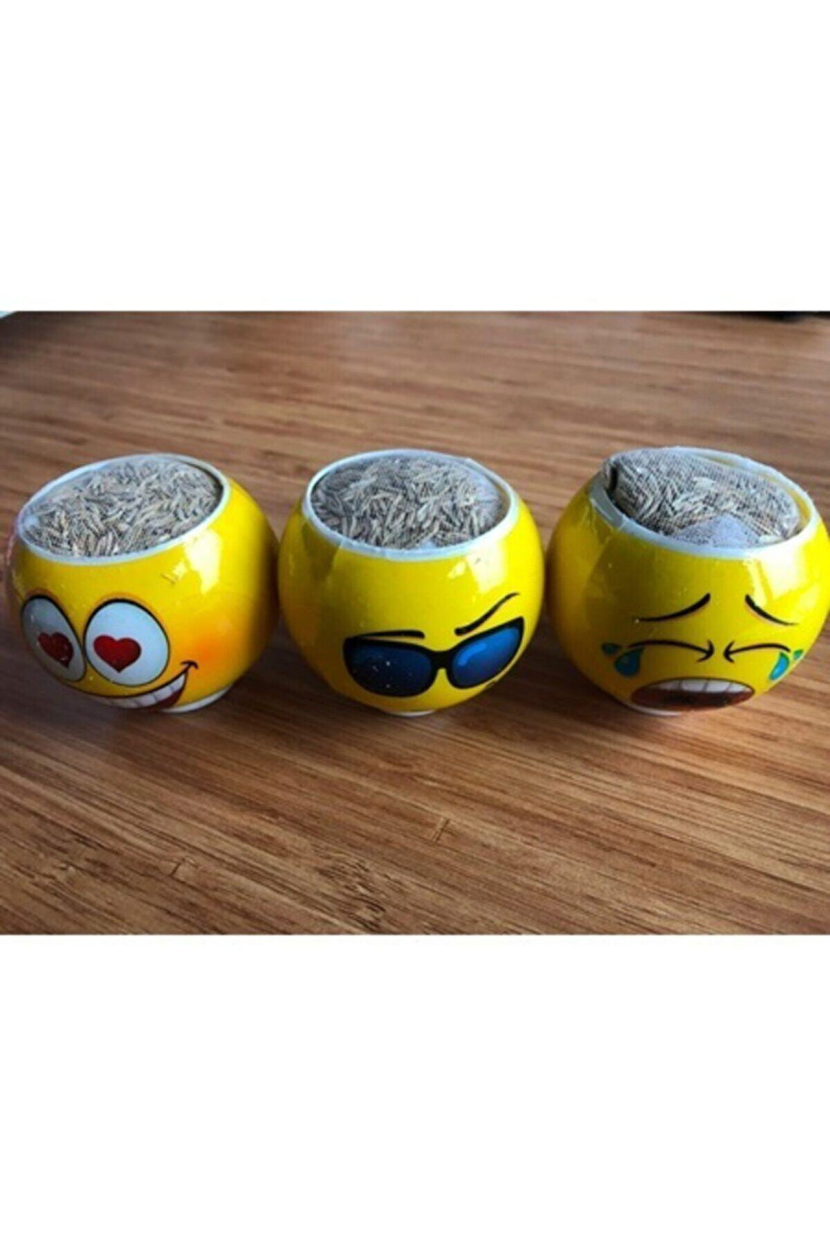 Eğitici Öğretici Çocuk Oyuncaklar Emoji Kafa Çim Adam 3Adet