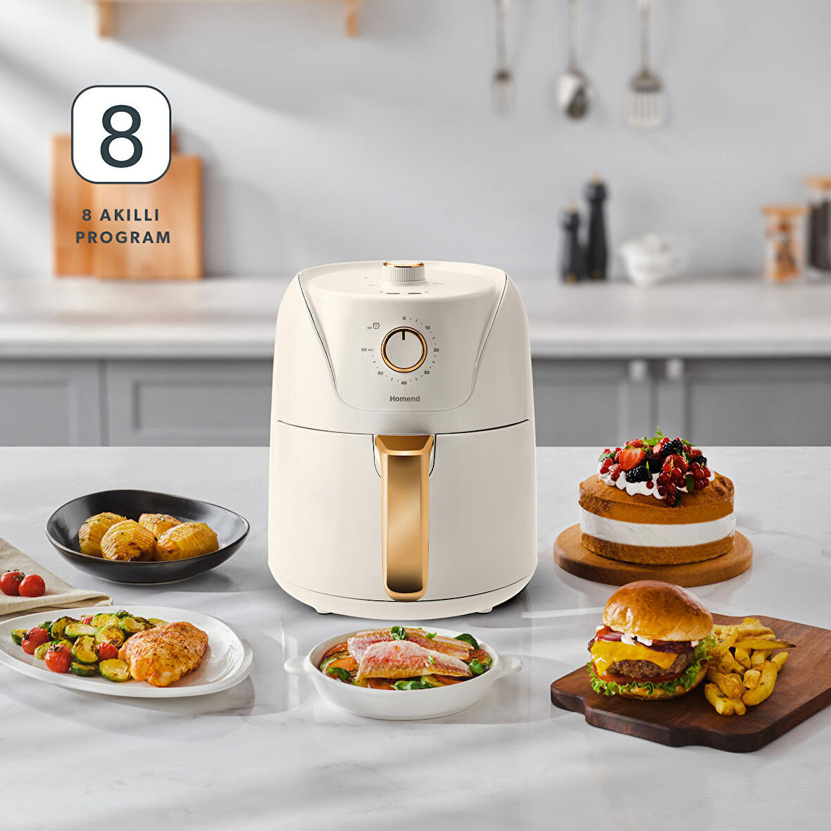 HOMEND Airfryday 2504h 8 Farklı Programlı, Yağsız fritöz 4,3 Litre Airfryer