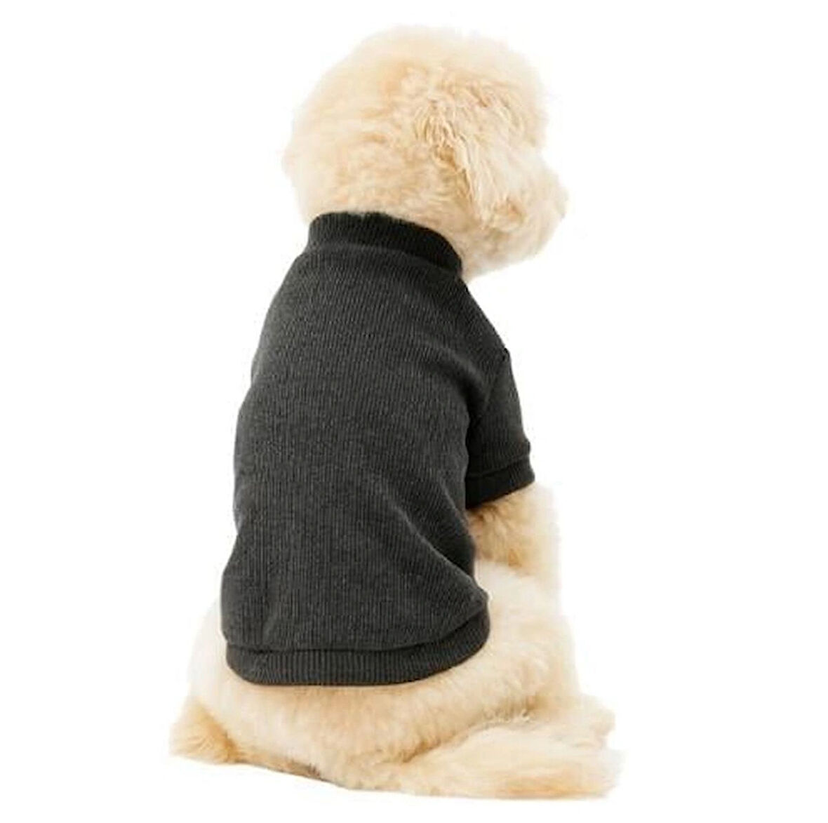 Gedyco Antrasit Küçük Irk Köpek Likralı Triko