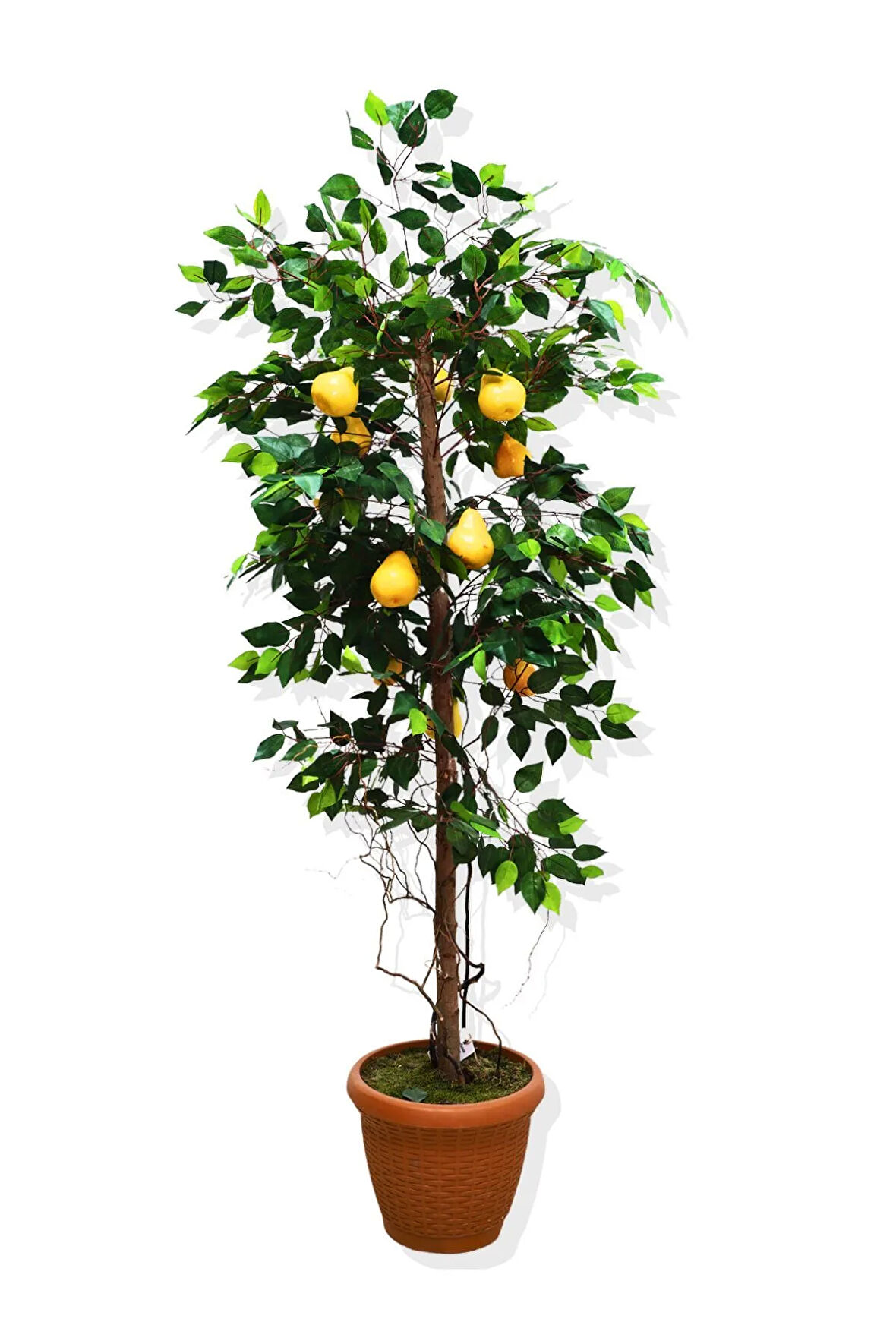 Yapay Armut Ağacı 180 Cm