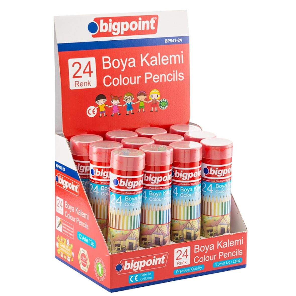 Bigpoint Premium Metal Tüpde Kuru Boya Kalemi 24 Renk - 12'li Set