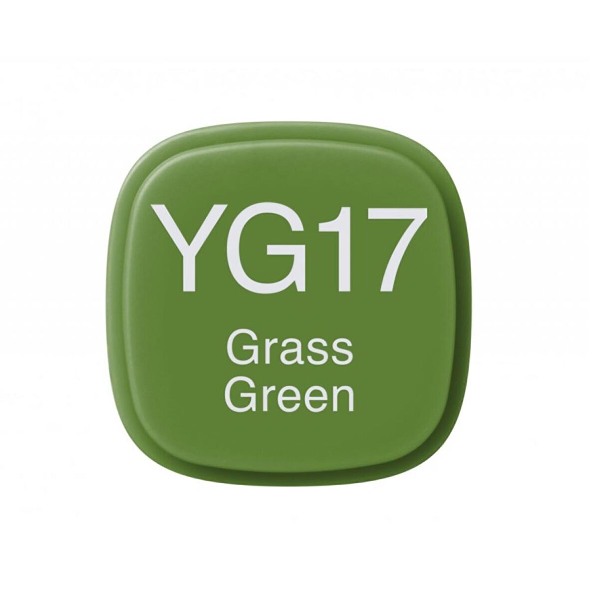 Copic Marker Kalemi YG17 Grass Green