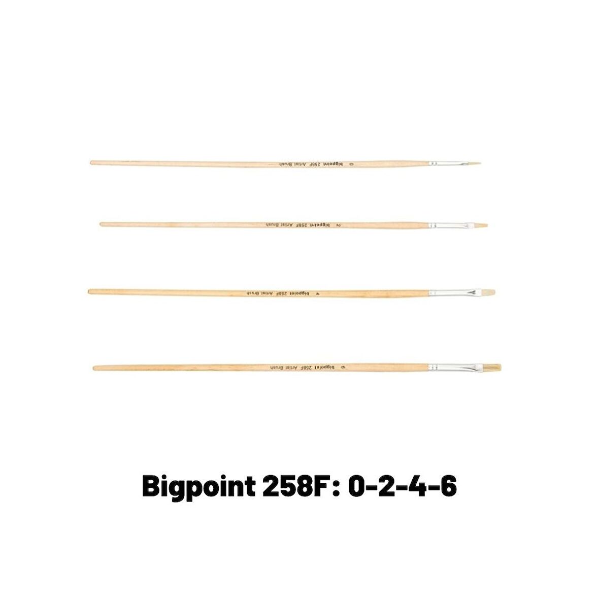 Bigpoint 258F Serisi Doğal Kıl Düz Kesik Fırça 4'lü Set 0-2-4-6