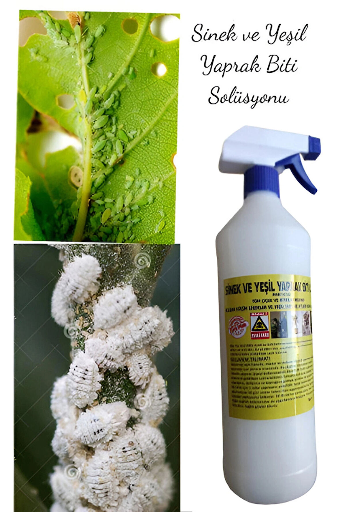 ÇİÇEK VE BİTKİLER İÇİN SİNEK VE YAPRAK BİTİ İLACI 1 LİTRE