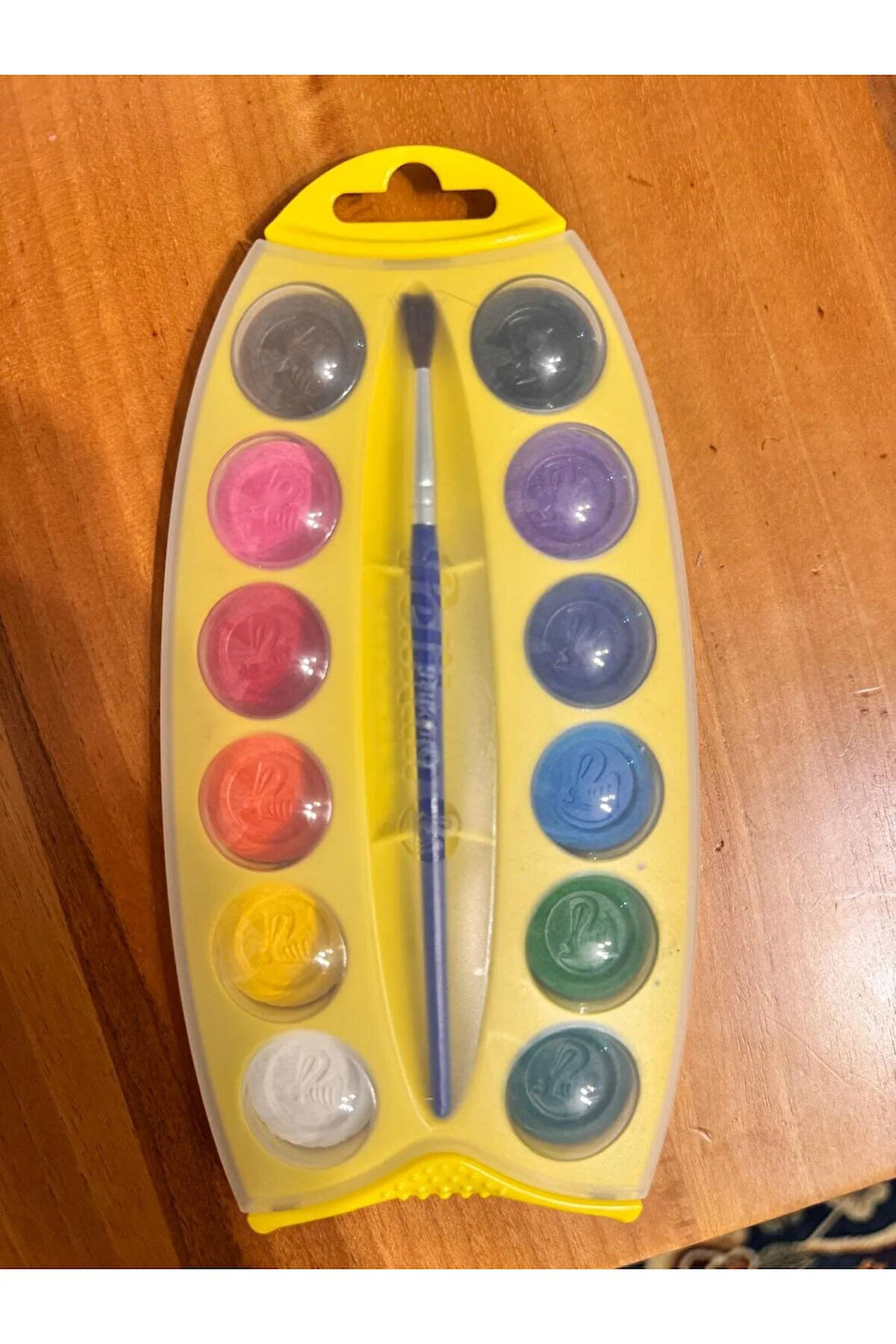 Yıkanabilir Master Suluboya Boya ve Fırça Plastik Seti, 12 Renk