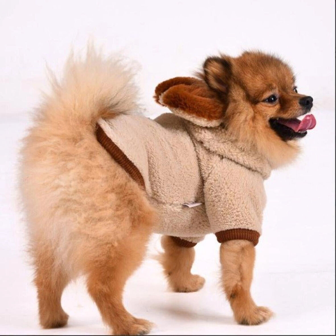 Gedyco Beige Premium Peluş Küçük Irk Köpek Sweatshirtü