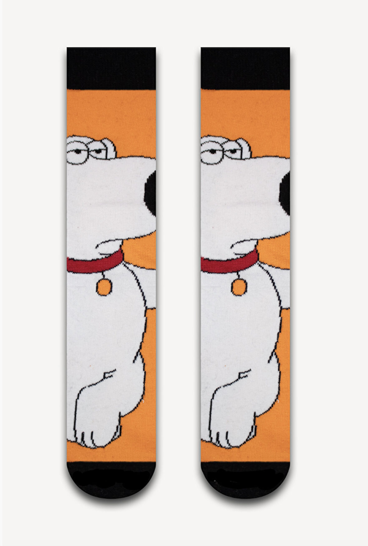 Family Guy Brian Griffen Desenli Unisex Çorap