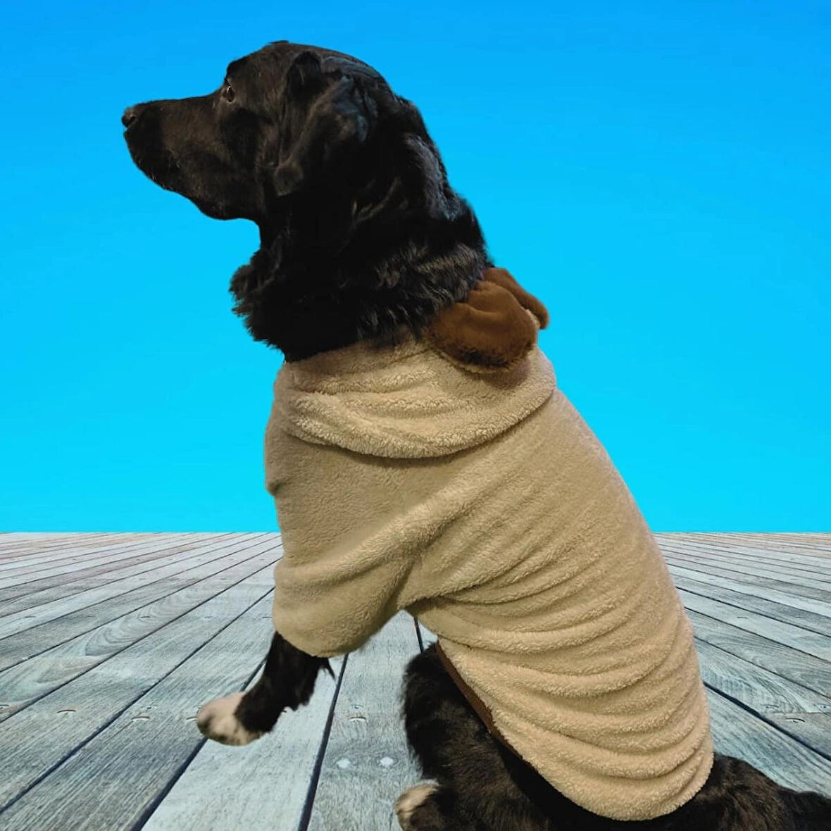 Gedyco Beige Premium Peluş Büyük Irk Köpek Sweatshirtü (21 kg-50 kg arası köpeklere uygundur)