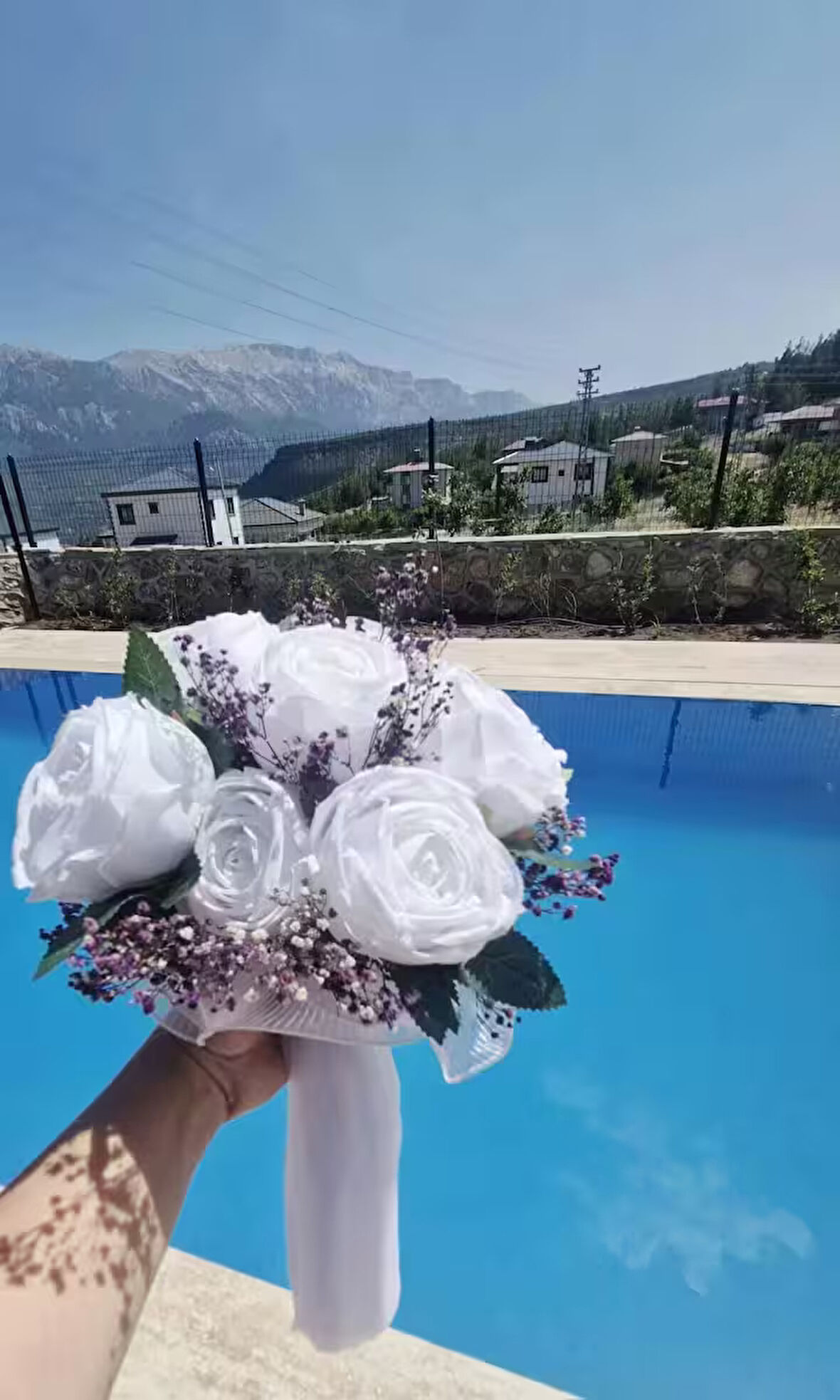 gelin elçiçeği