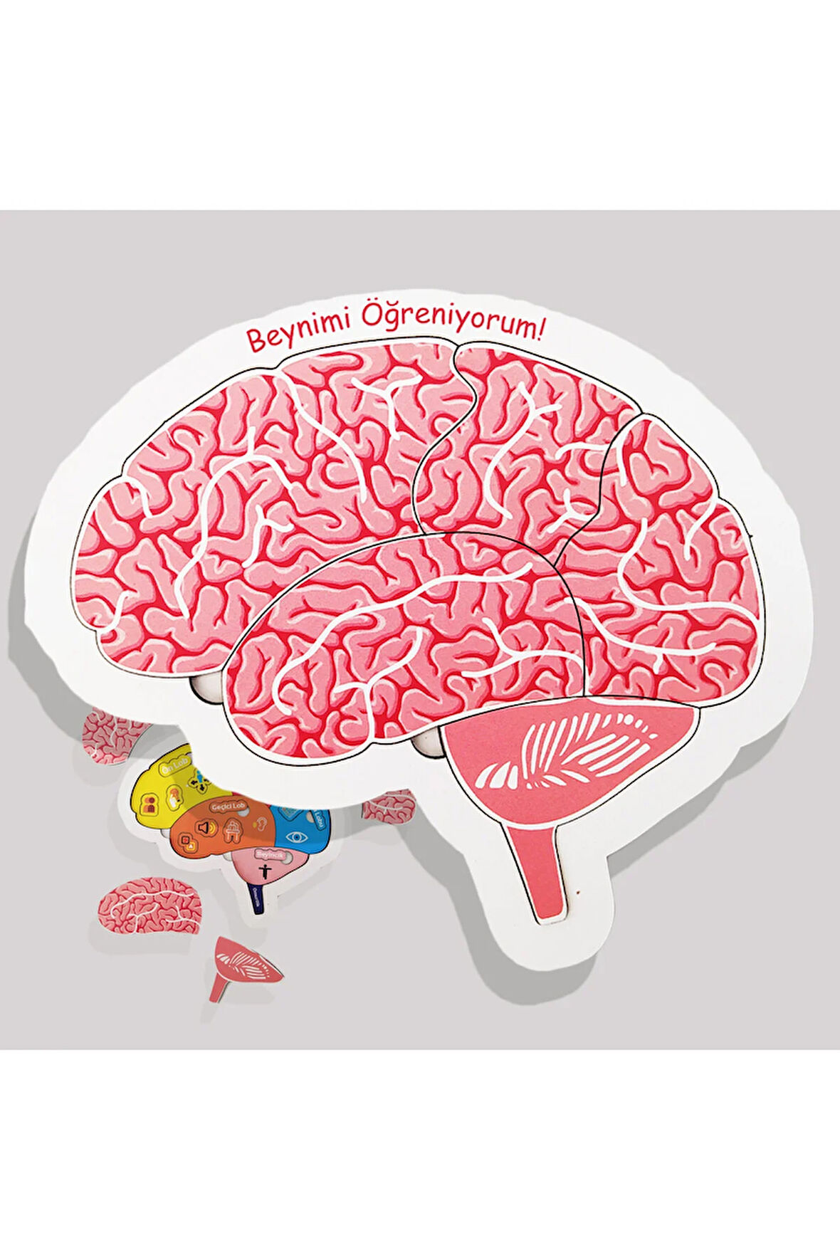 Beynimi Öğreniyorum Ahşap Puzzle - Çocuk Yapboz - 5 Yaş Ve Üzeri Eğitime Yardımcı Oyuncak