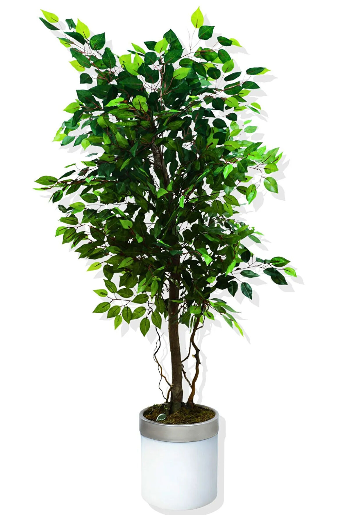 Benjamin 180 Cm Yapay Ağaç Kemerli Saksı