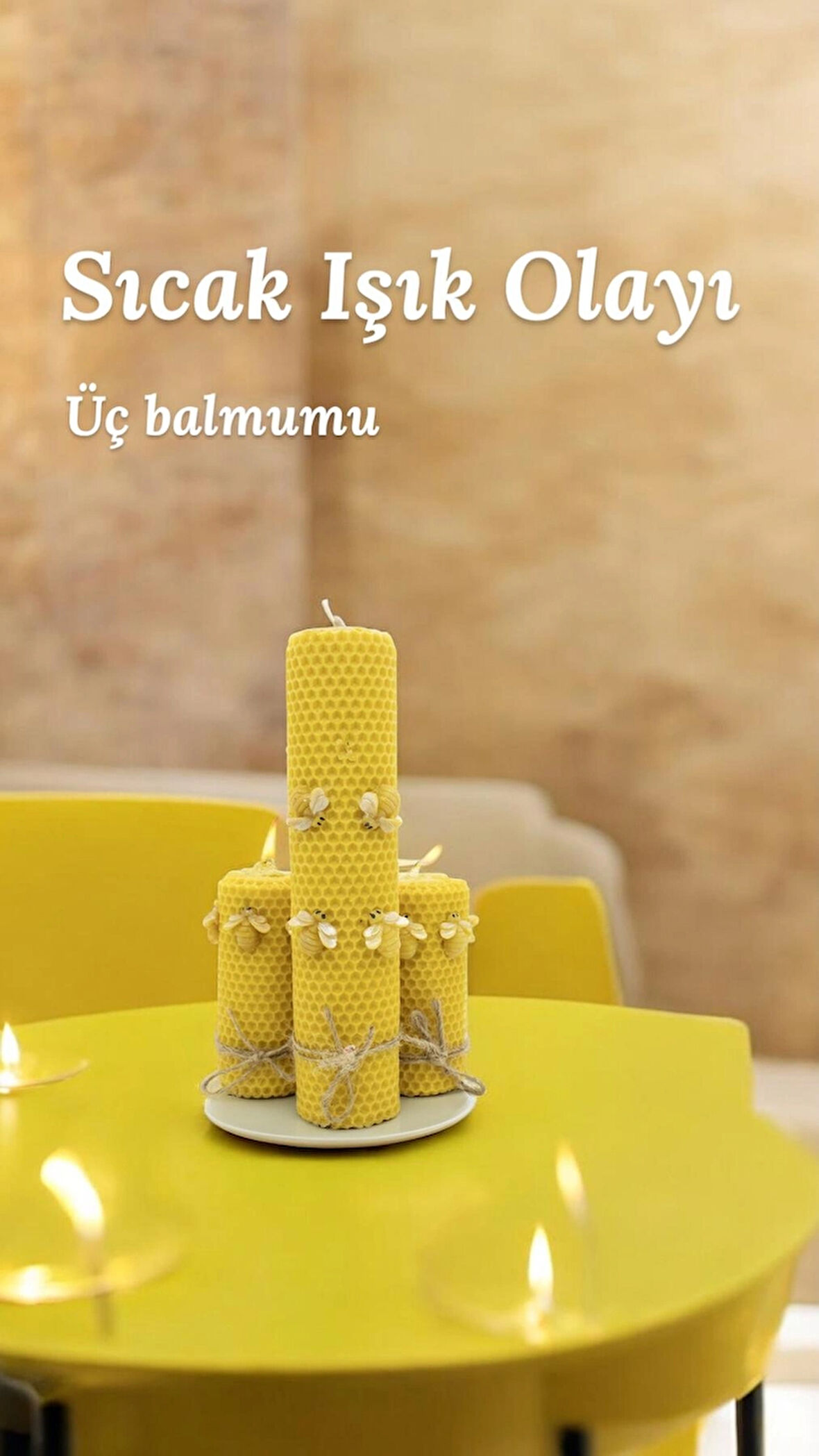 Troya Balmumu Çift Sargı Bal Böceği 3’lü