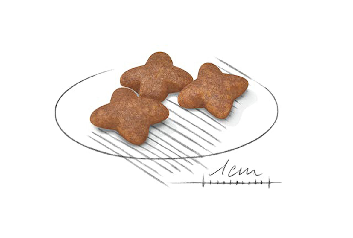 Mini Adult Küçük Irk Yetişkin Köpek Maması 4 Kg