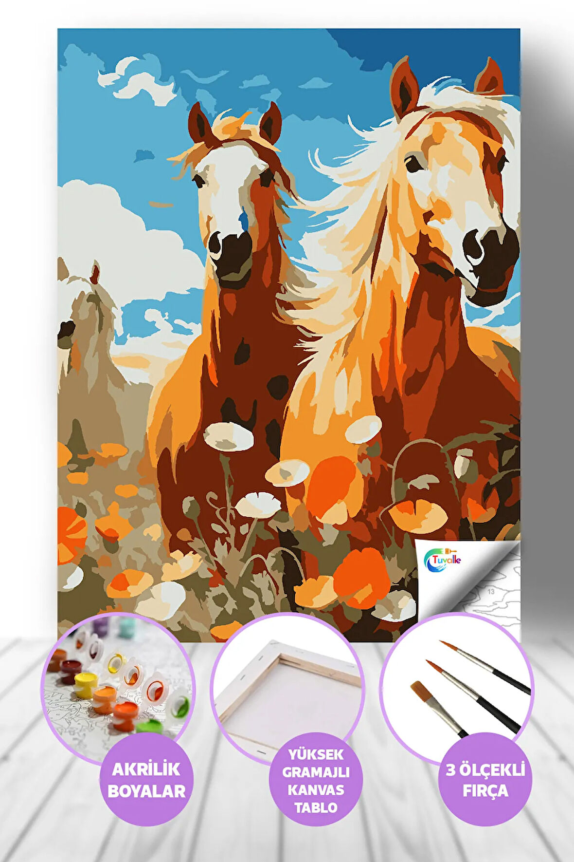 Bozkırın Rüzgarı Sayılarla Boyama Seti, Hobi Seti, 40X50 Tablo, Fırça Boya, Numaralı Tuval