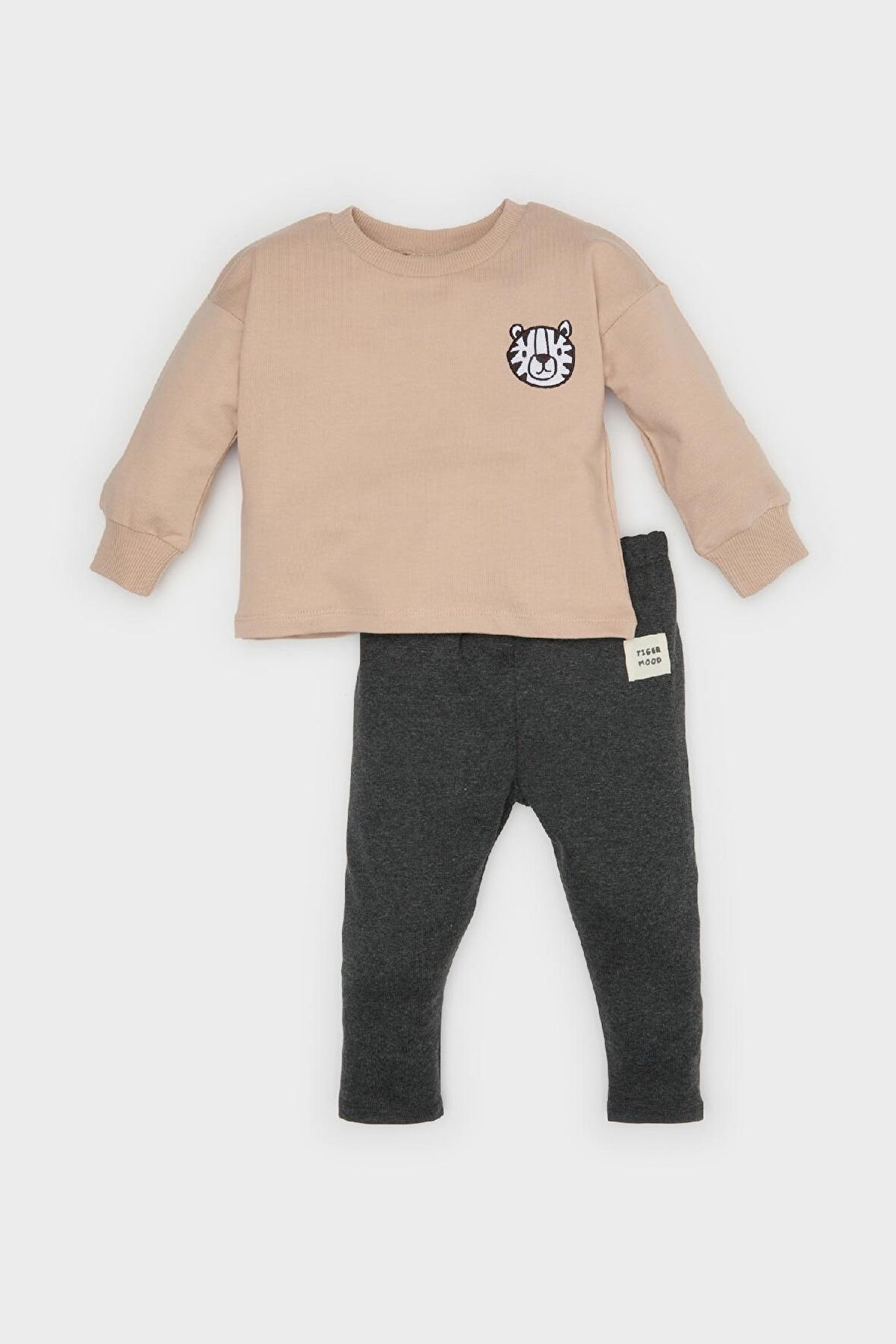 DeFacto Erkek Bebek 2'li Takım Baskılı Sweatshirt Beli Lastikli Alt D2937A525SPBG775