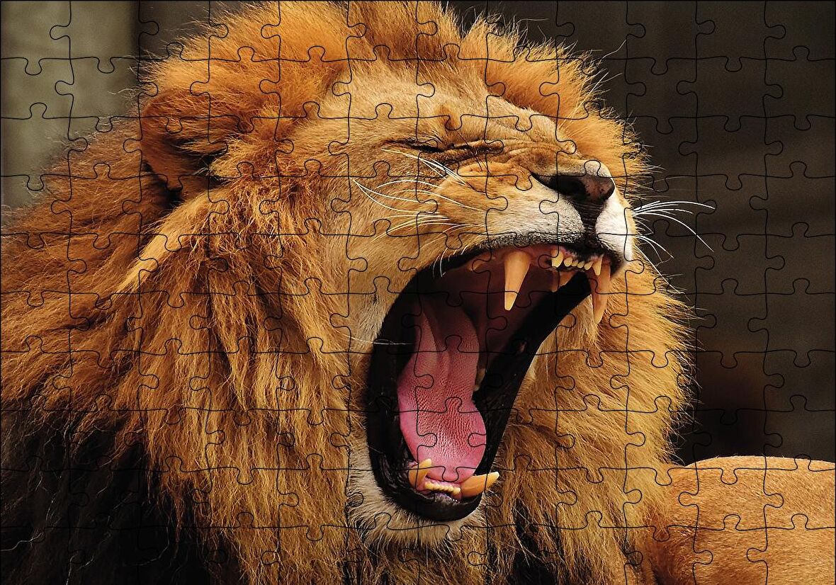 Cakapuzzle  Aslan Esneyen Puzzle Yapboz MDF Ahşap