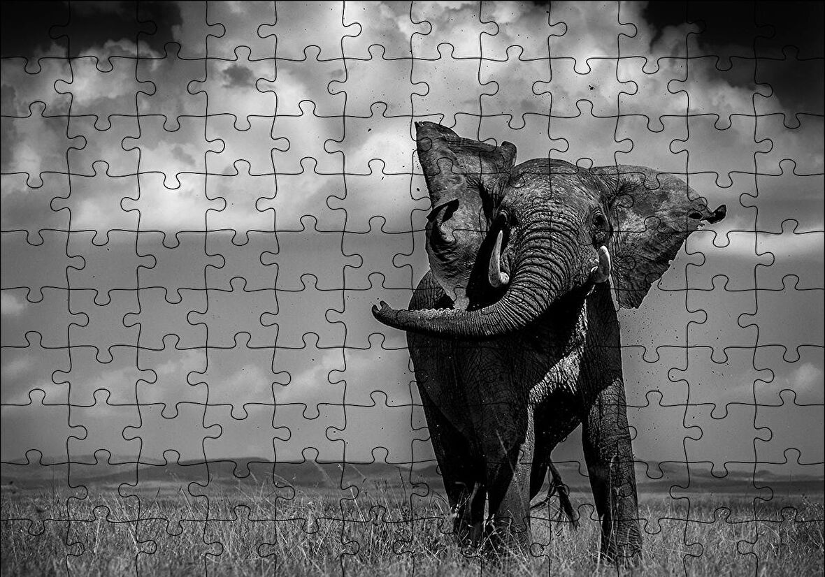 Cakapuzzle  Asya Fili Puzzle Yapboz MDF Ahşap