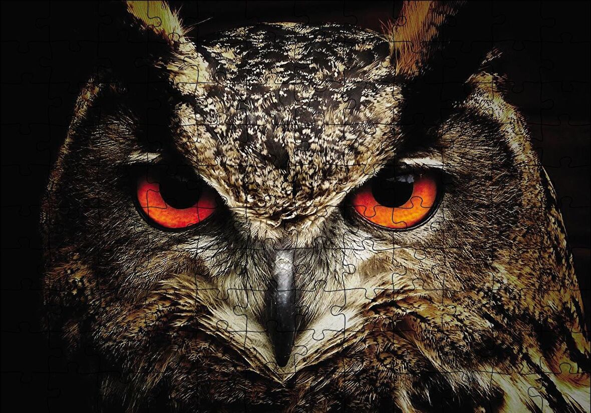 Cakapuzzle  Baykuşun Gözleri Puzzle Yapboz MDF Ahşap