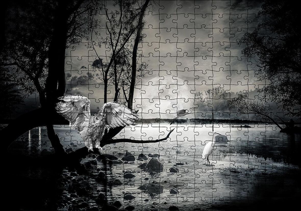 Cakapuzzle  Gecede Balıkçı Kuşları Göl Puzzle Yapboz MDF Ahşap