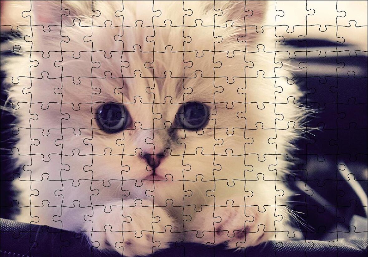 Cakapuzzle  Beyaz Kedi Puzzle Yapboz MDF Ahşap