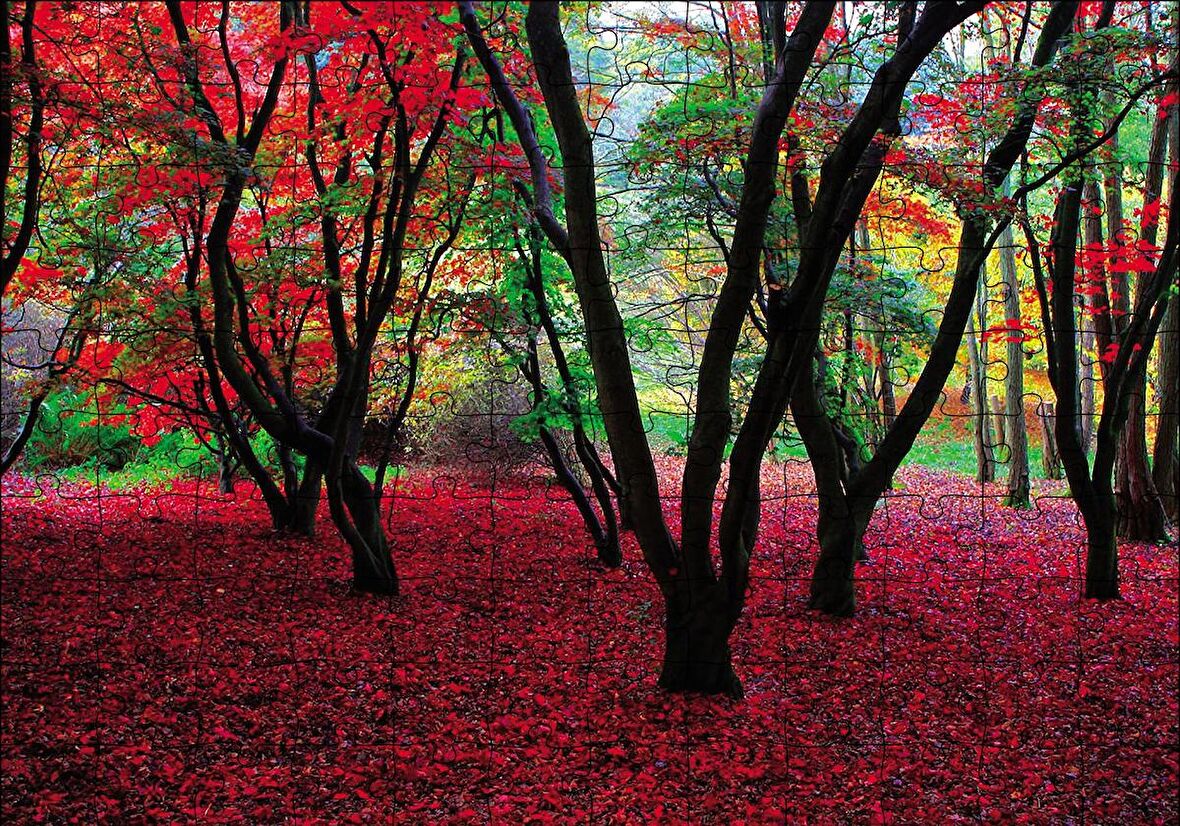 Cakapuzzle  Büyülü Sonbahar Ormanı Puzzle Yapboz MDF Ahşap