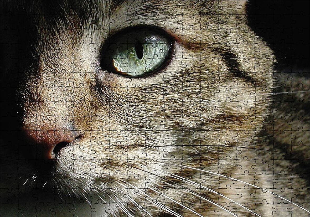 Cakapuzzle  Yeşil Gözlü Kedi Puzzle Yapboz MDF Ahşap