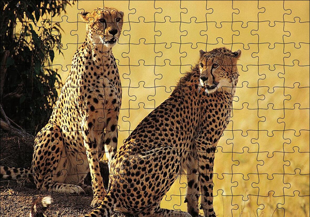 Cakapuzzle  Çift Leopar Puzzle Yapboz MDF Ahşap