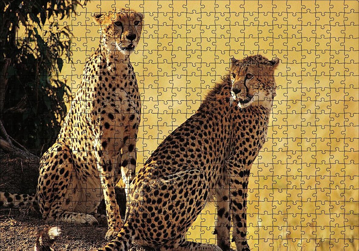Cakapuzzle  Çift Leopar Puzzle Yapboz MDF Ahşap