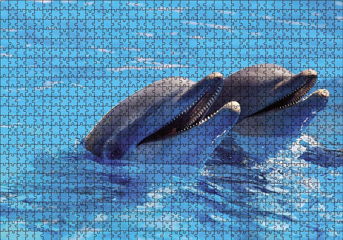 Cakapuzzle  Çift Yunuslar Puzzle Yapboz MDF Ahşap