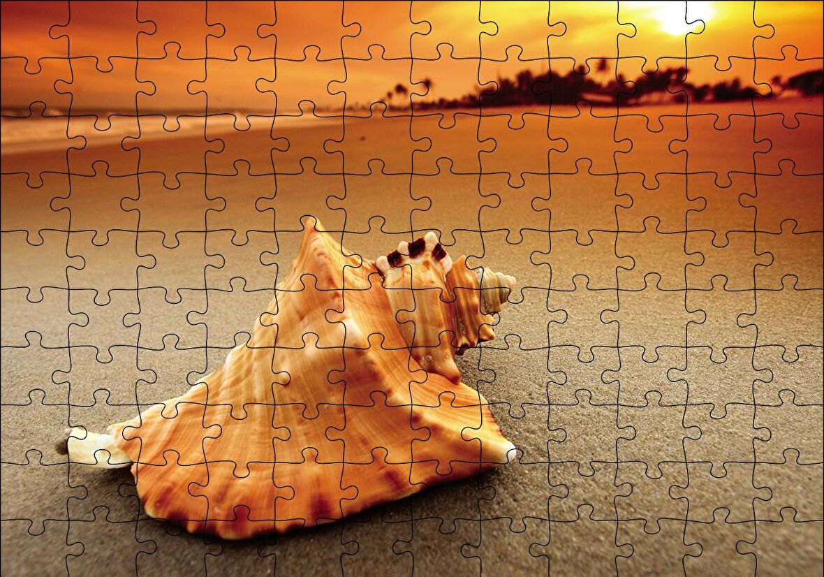 Cakapuzzle  Deniz Kabuğu Puzzle Yapboz MDF Ahşap
