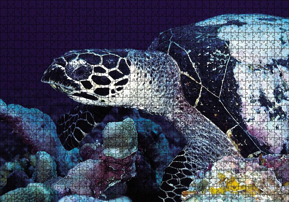 Cakapuzzle  Deniz Kaplumbağa Puzzle Yapboz MDF Ahşap