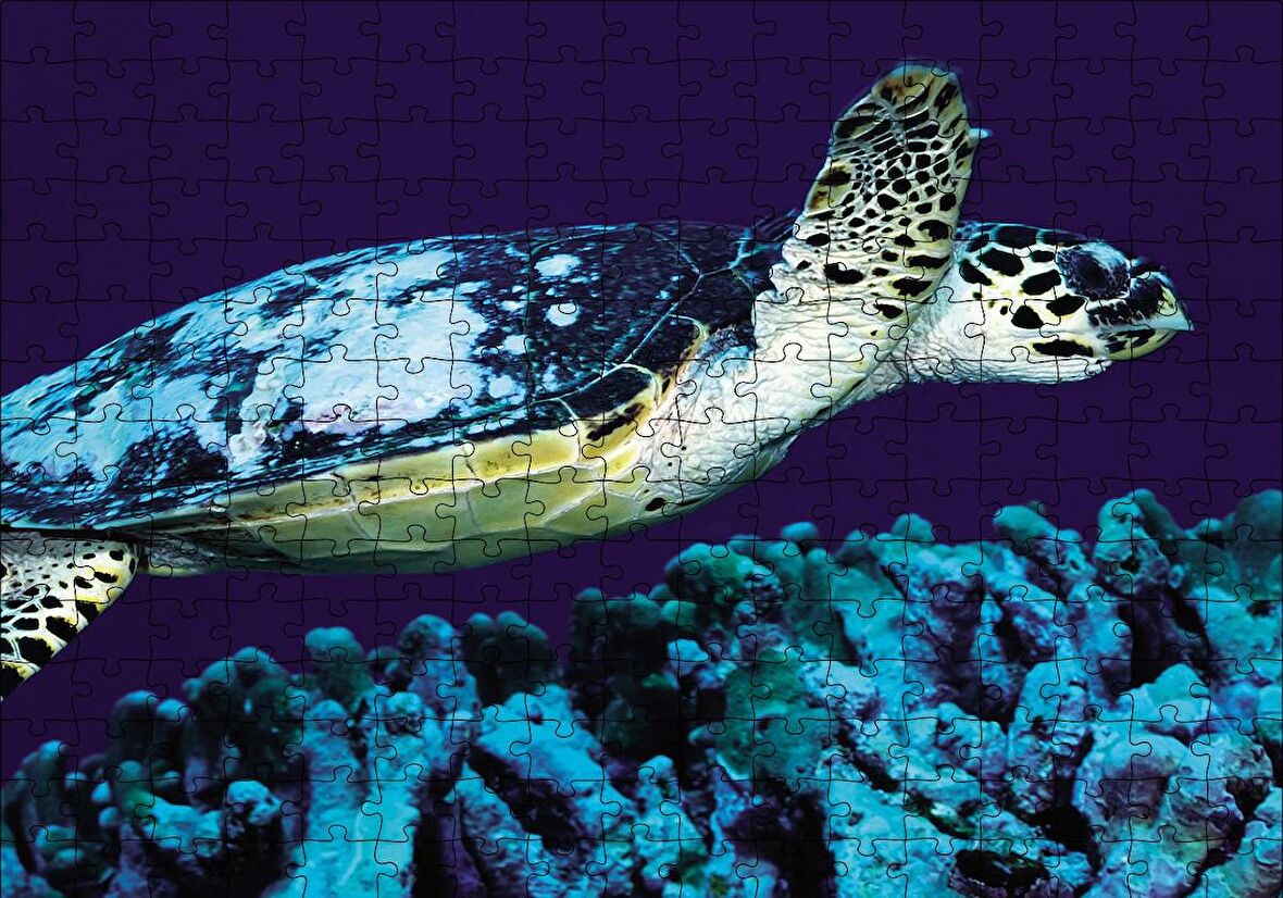Cakapuzzle  Deniz Dibinde Kaplumbağası Puzzle Yapboz MDF Ahşap