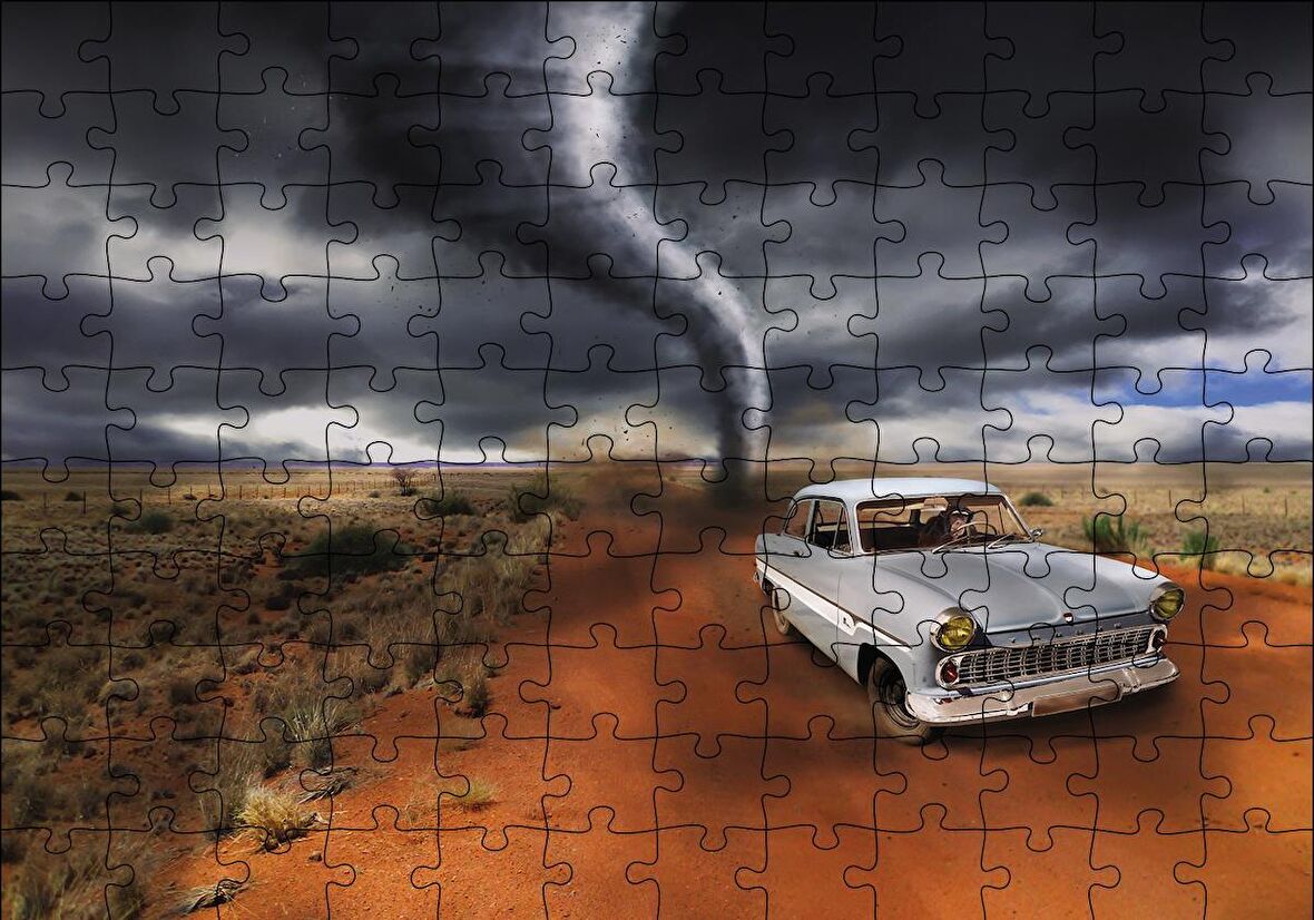 Cakapuzzle  Hortumdan Kaçan Otomobildeki Maymun Puzzle Yapboz MDF Ahşap