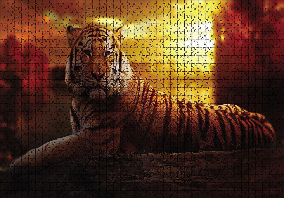 Cakapuzzle  Günbatımında Kaplan Puzzle Yapboz MDF Ahşap