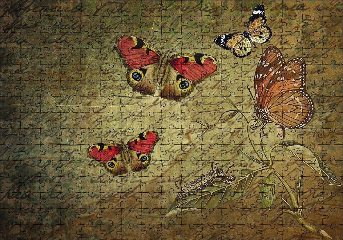 Cakapuzzle  Mektup Zemininde Kelebekler Puzzle Yapboz MDF Ahşap