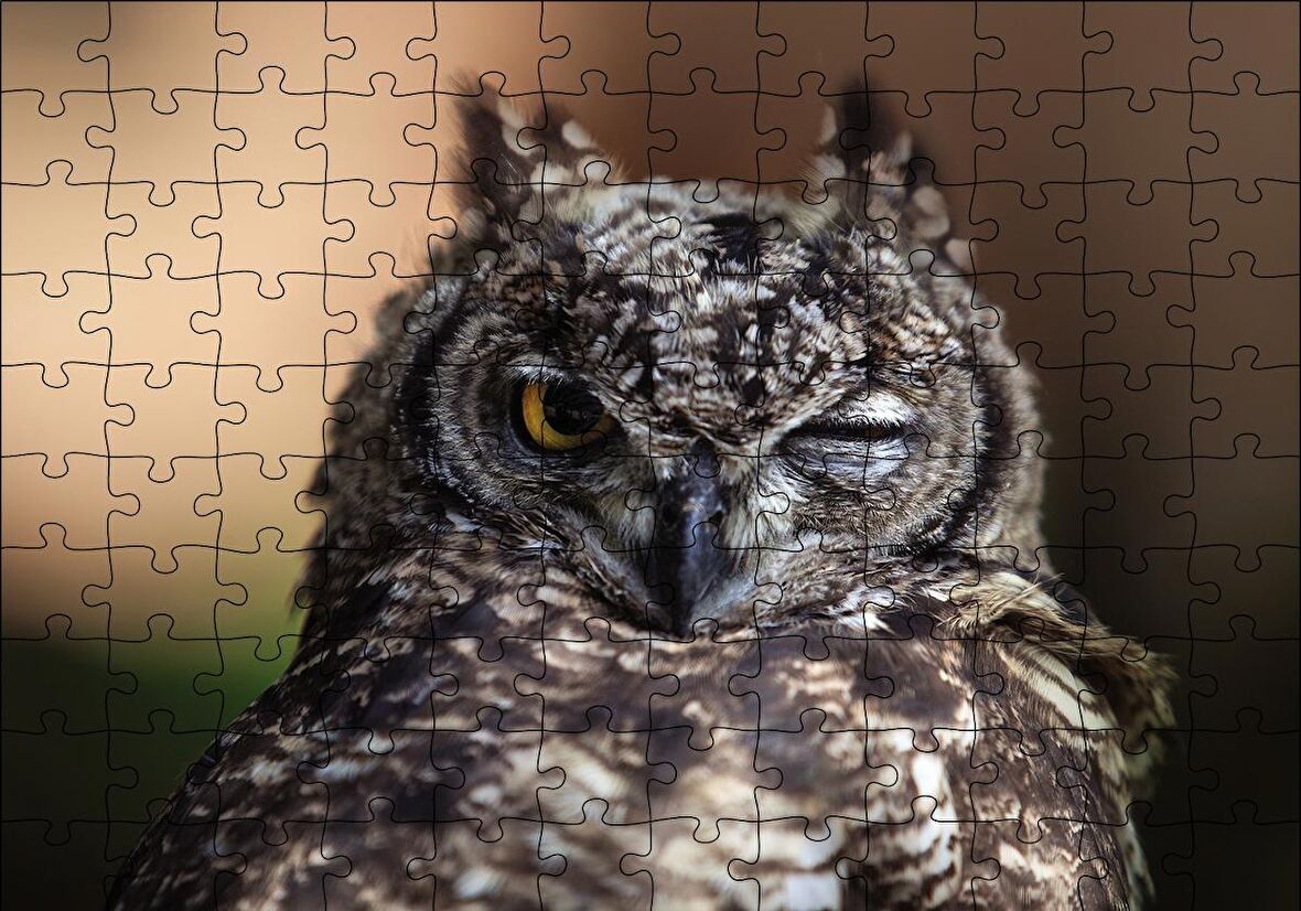 Cakapuzzle  Komik Baykuş Puzzle Yapboz MDF Ahşap