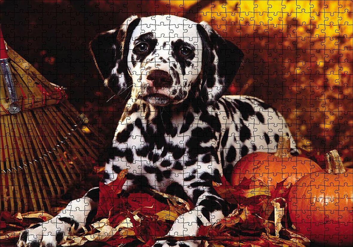 Cakapuzzle  Köpek Cadılar Bayramı Puzzle Yapboz MDF Ahşap