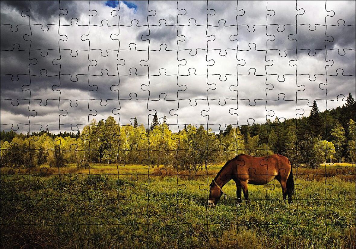 Cakapuzzle  Manzara At Orman Puzzle Yapboz MDF Ahşap