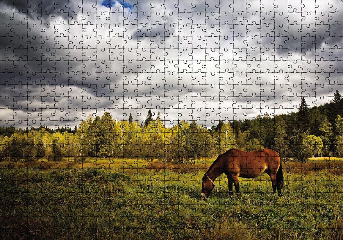 Cakapuzzle  Manzara At Orman Puzzle Yapboz MDF Ahşap