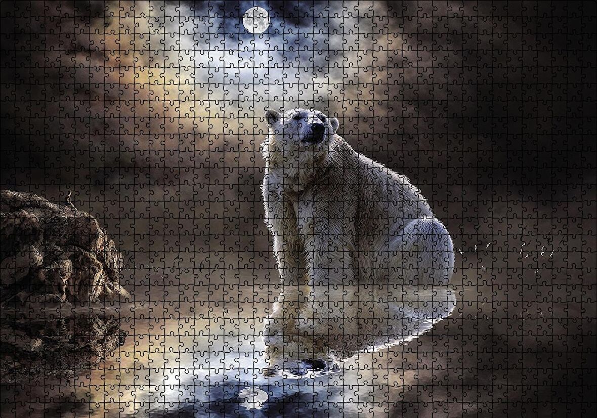Cakapuzzle  Kutup Ayısı Doğa Gece Puzzle Yapboz MDF Ahşap
