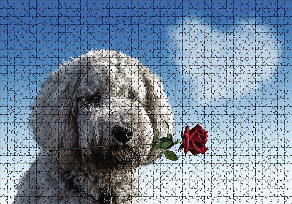 Cakapuzzle  Sevimli Köpek Gül Kalp Aşk Puzzle Yapboz MDF Ahşap