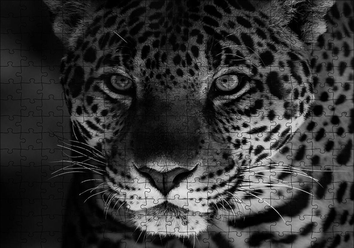 Cakapuzzle  Siyah Beyaz Jaguar Puzzle Yapboz MDF Ahşap